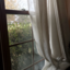 brightdeadflower-blog