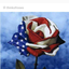 thinkofredwhiteandblue