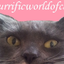 purrificworldofcats