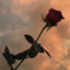 ragazzadagliocchimarroni17-blog