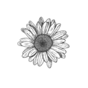 Belovestyles