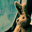 stupiidrabbit
