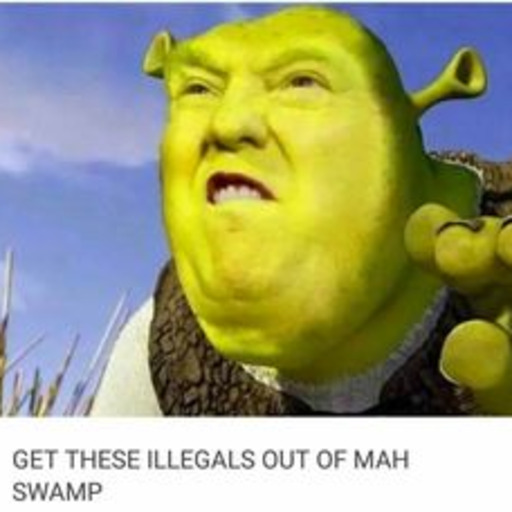 annoyingmemes: