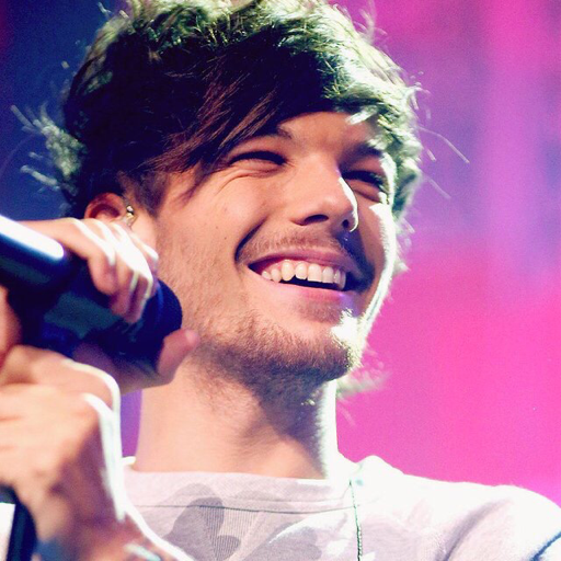 " I Love Larry Stylinson" Louis