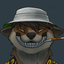 thedailydingo411