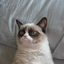 hipscrack-blog