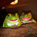 stickyfrogs:  A Naughty Friend, her Accomplice, and a Lurker! 