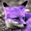 earsandtail-blog