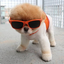 randominternetstuffs