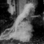 rotten-fleur