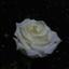 antar87-blog