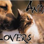 loveeverykindofcat