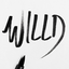 the-willd