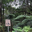 distancedroad