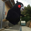 hi-nenshou-kuro-blog