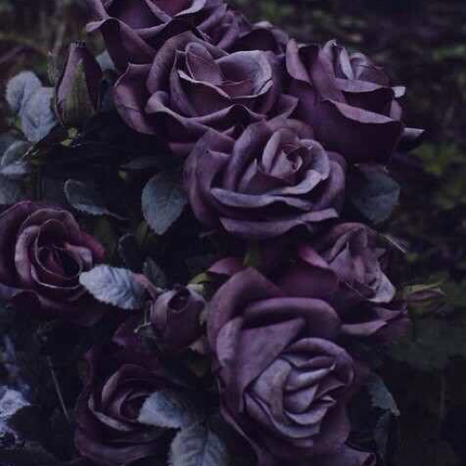 thethinningveil:  even without magic, i am extraordinary   with it, i am celestial