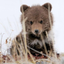 babyarcturius-blog