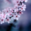 itsfine-imfine14-blog