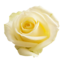springballad123
