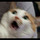 welcomebacktome-screaming:    @sft425 