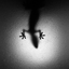 xrayvision