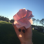 imolihey-blog