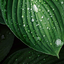 trevorliketotravel-blog
