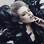 trashylightwood-blog
