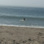 eddiebythesea