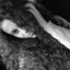 leonor91b
