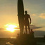 lonelypigeon432-blog