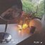 al1enqueensworld-blog