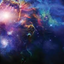 cosmicbouquet