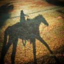 equineobsession-blog-blog avatar