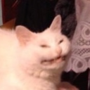 Reblog if you support girls wearing tuxes to prom
