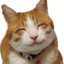 mishuisee