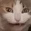 pastelsexxual