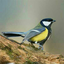 786singh-blog