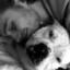 radiohood-blog1