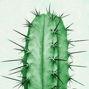 Theuglycactus:  Even If You Wither,Even If You Break,And Even If You Feel Vulnerable,I’ll