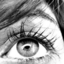 phoenix-prophecy-blog