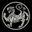 shotokan-karateka