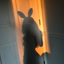 giocodiisguardi