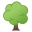 forrestfromthetrees