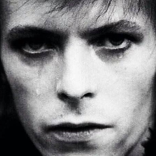Ziggy Stardust and the spiders from mars