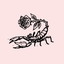 neighborhoodscorpio
