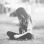 julianna1042714-blog