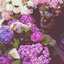 purplishtoey
