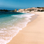 shesellsbytheseashore