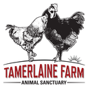tamerlaine-farm-animal-sanctuary avatar